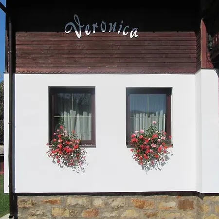 Pensiunea Veronica Guest house 3*