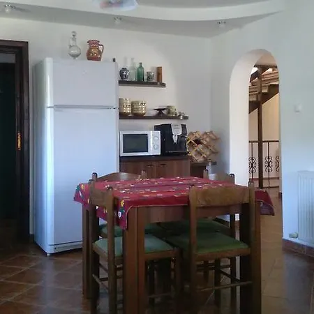 Pensiunea Veronica Guest house