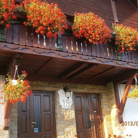 Guest house Pensiunea Veronica Campulung Moldovenesc