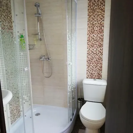 Pensiunea Veronica Guest house Campulung Moldovenesc