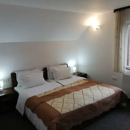 Pensiunea Veronica Guest house